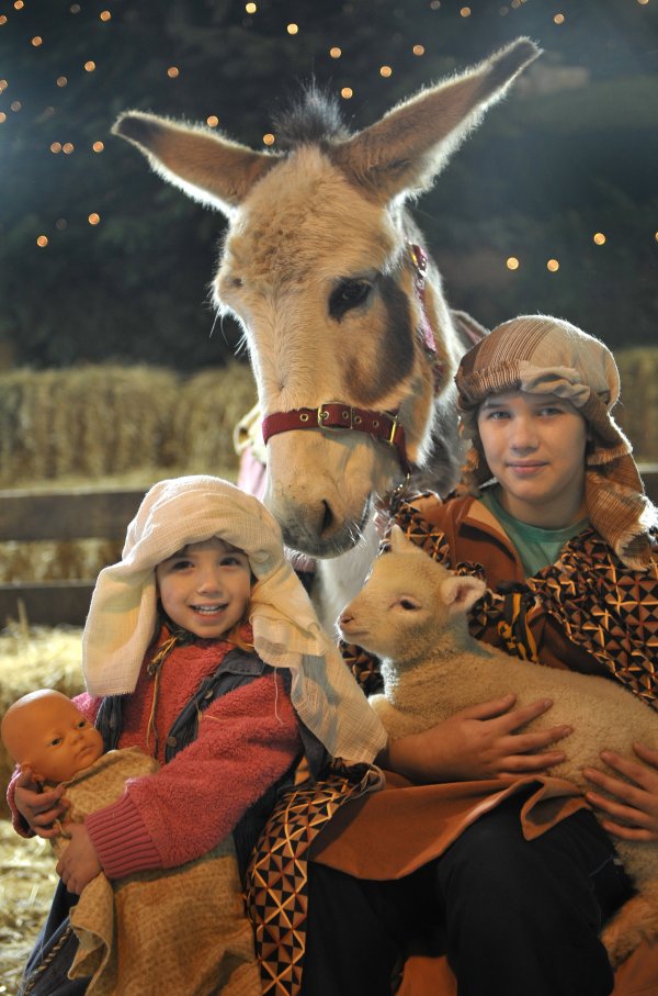 Christmas Nativity Plays &amp; Visit Father Christmas At ...