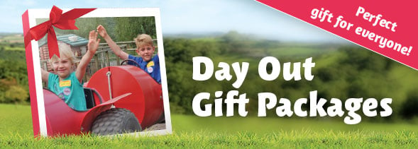 Day out gift packages