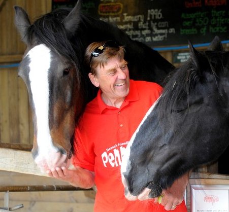 Shire horses