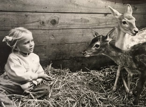 Devon's oldest deer?