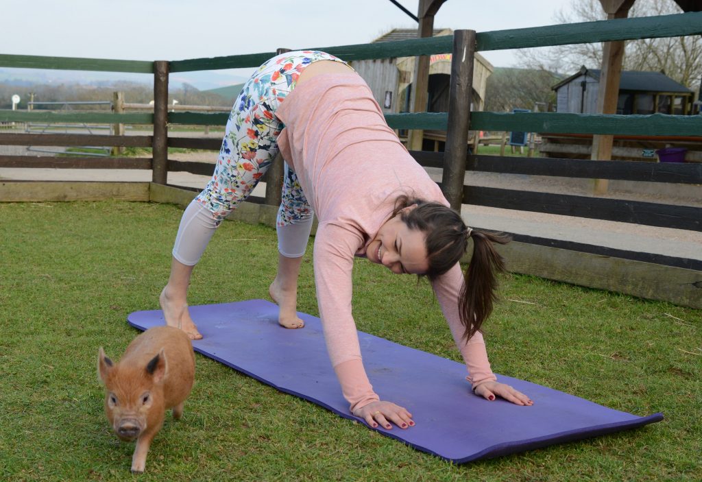 Piggy Pilates
