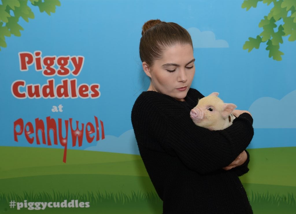 Piggy cuddles