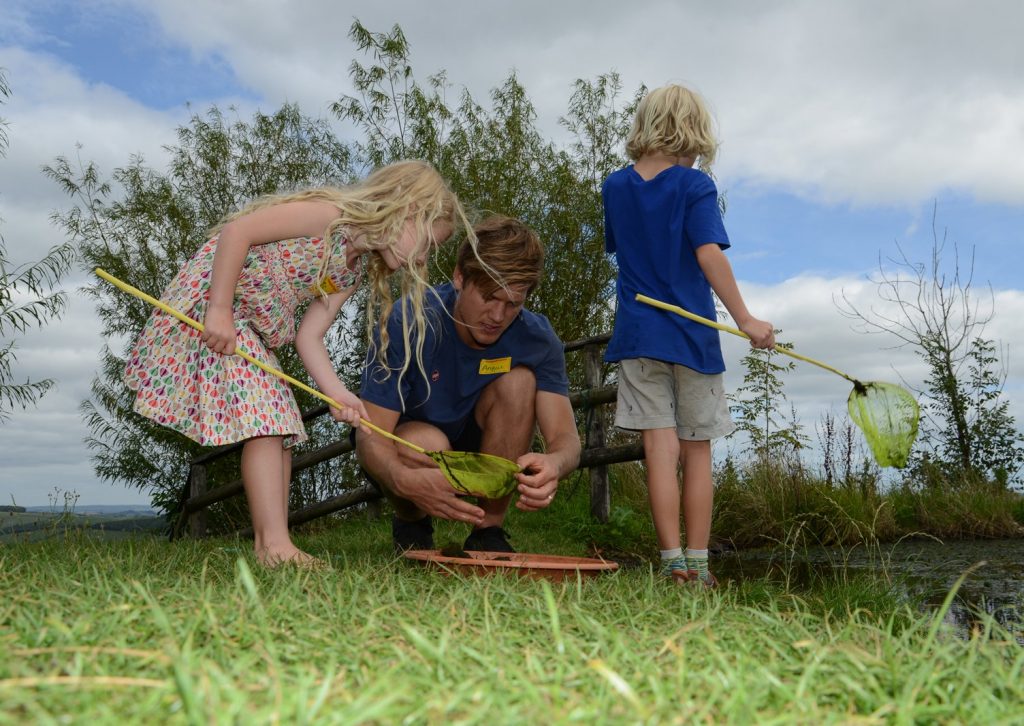 Pond dipping