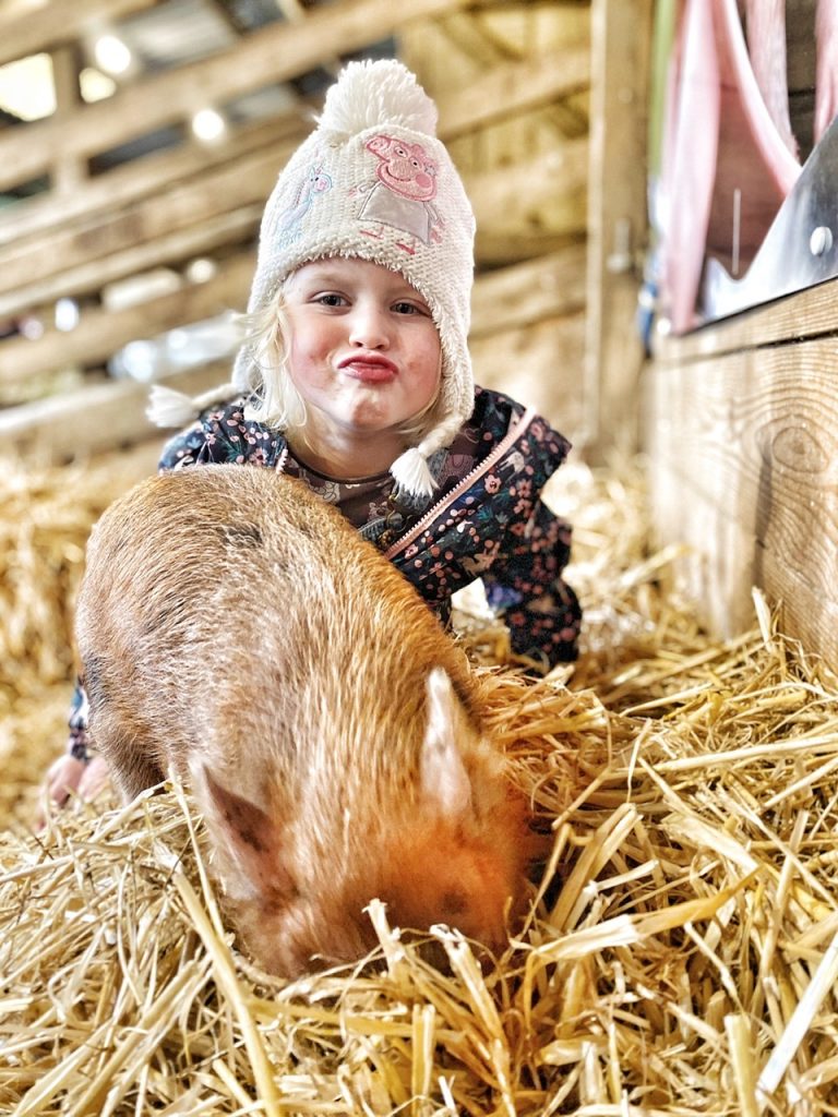 Meeting our Pennywell Pigs is always a highlight 