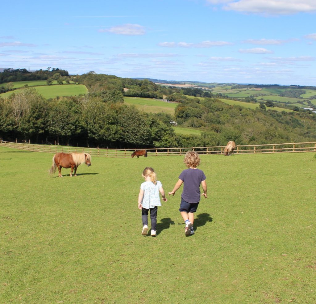 Children and ponies