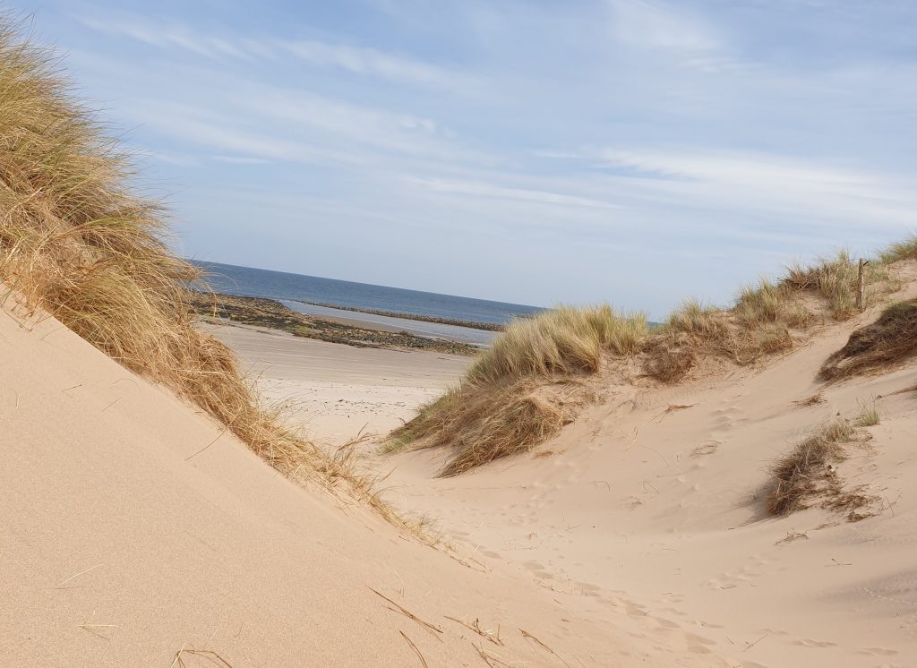 South Devon Beach Guide