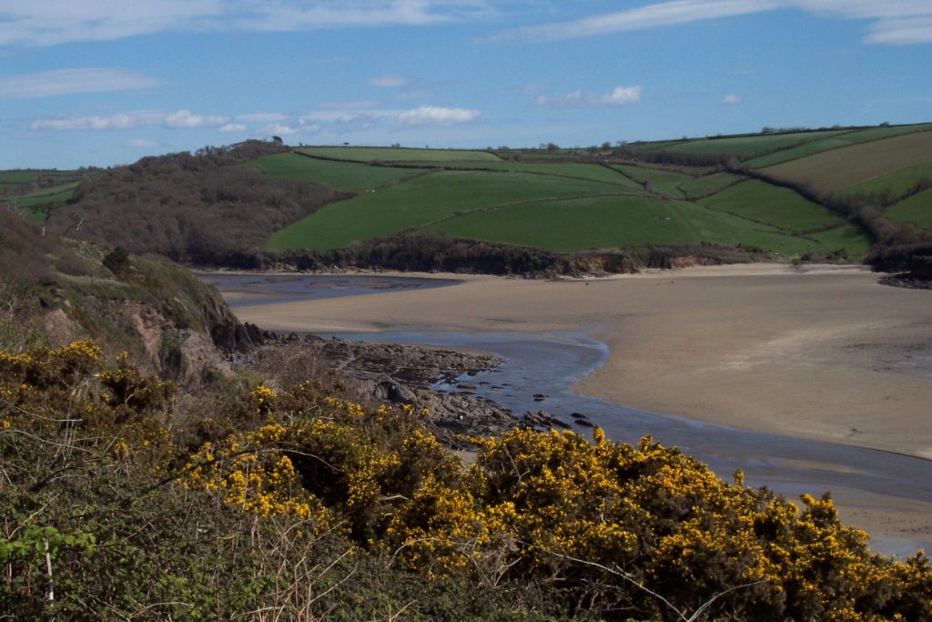 South Devon Beach guide