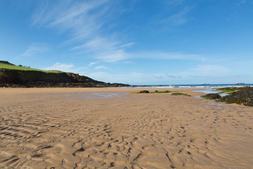 South Devon Beach Guide