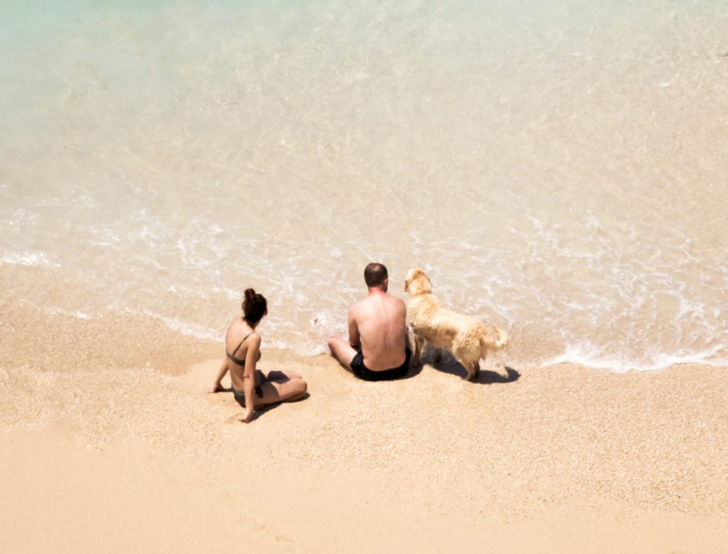 South Devon Beach Guide